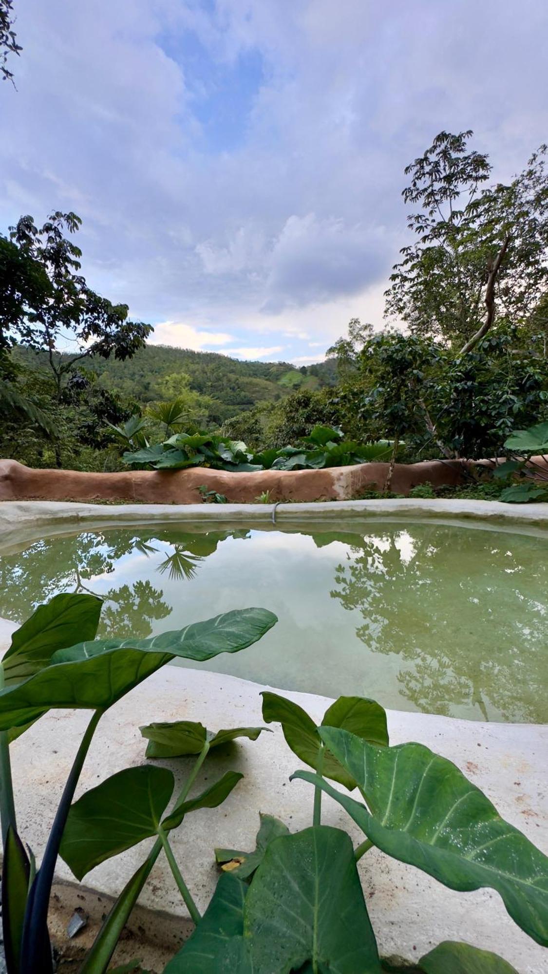 Eco Meeting Luxury tent